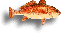 Red Fish